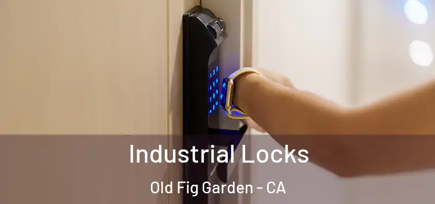 Industrial Locks Old Fig Garden - CA