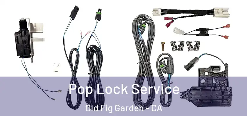  Pop Lock Service Old Fig Garden - CA